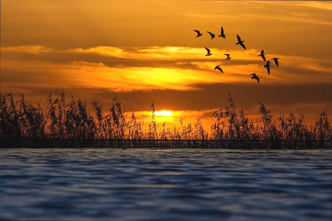 WhatsApp Image 2021-07-16 at 10.34.21 PM 1 7024a